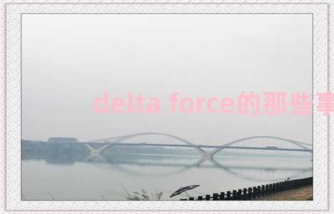 delta force的那些事